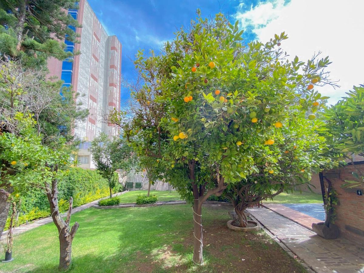 Azabu Hotel Collection San Luis Potosí Esterno foto